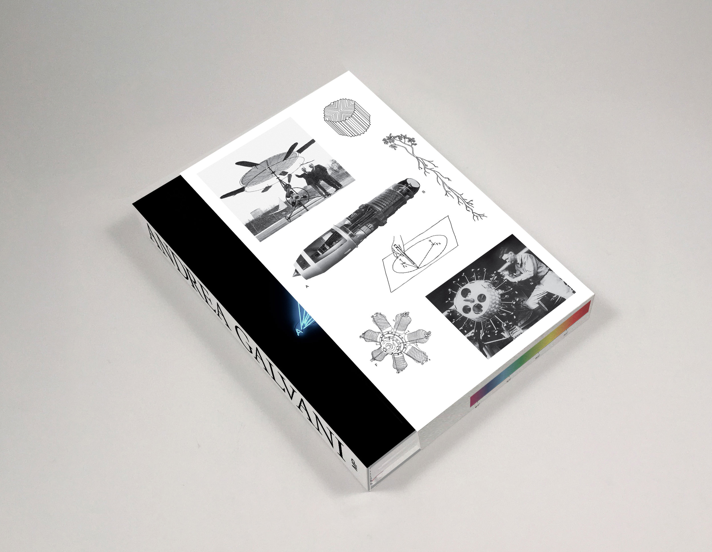 Andrea Galvani Monograph + box_cropped.jpg