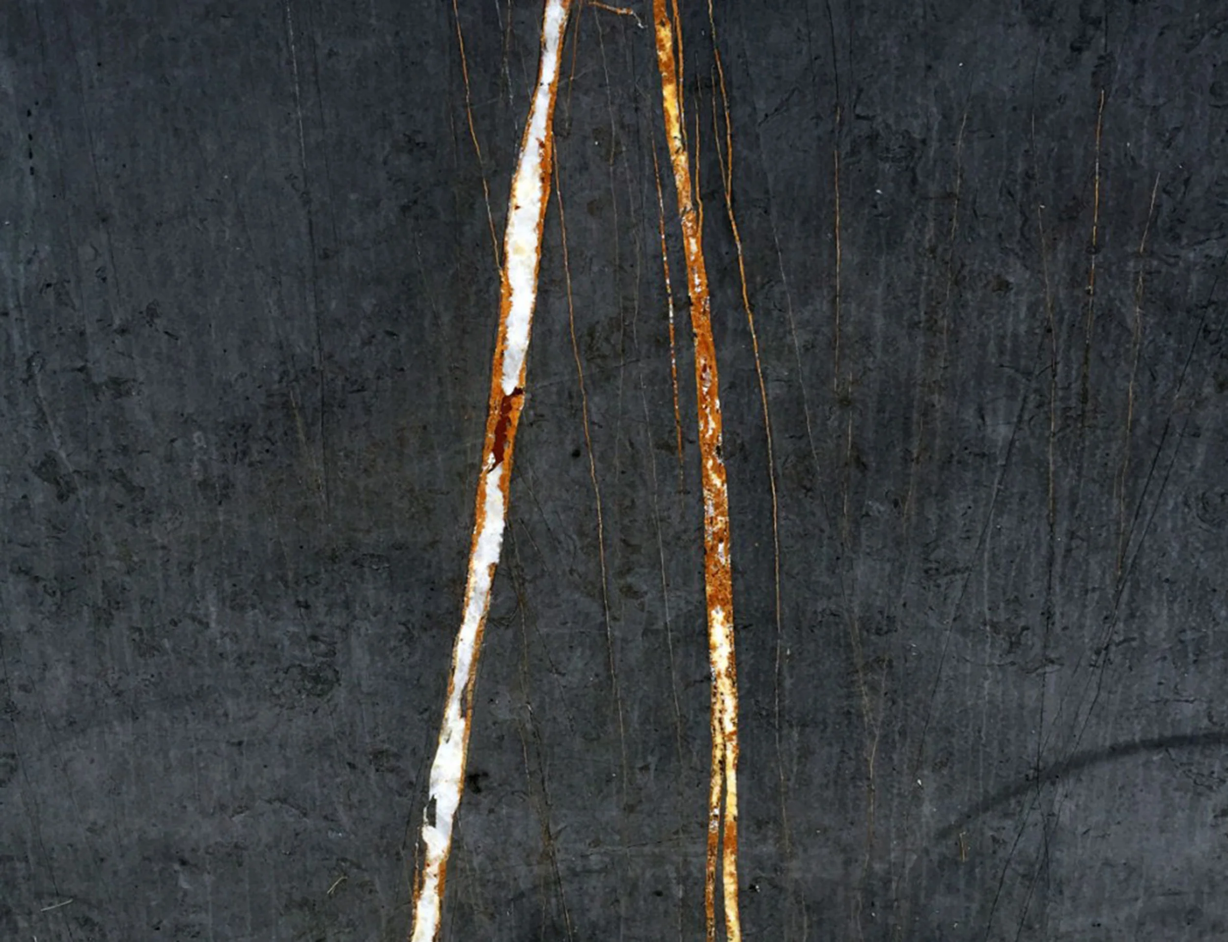 ARTEBA 2019 Revolver Galería | Booth E8 11-14 April 2019 Featured artists: Carlos Alonso, Marlon de Azambuja, Alberto Borea, Elena Damiani, Juan Dolhare, Andrea Galvani , Marco di Giovanni, Vicente Grondona, Jerry B. Martin, Jose Carlos Martinat, Luna Paiva, Martina Quesada, Ishmael Randall-Weeks, and Giancarlo Scaglia