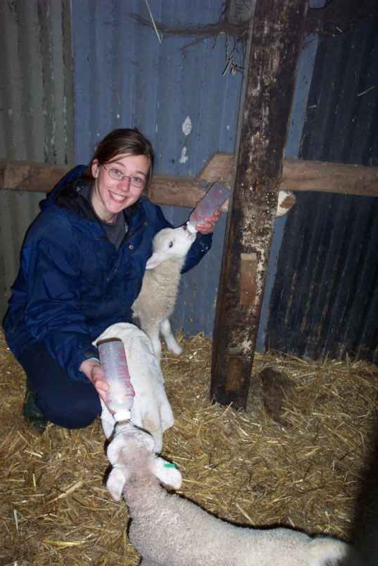 stephie&lambs5.jpg