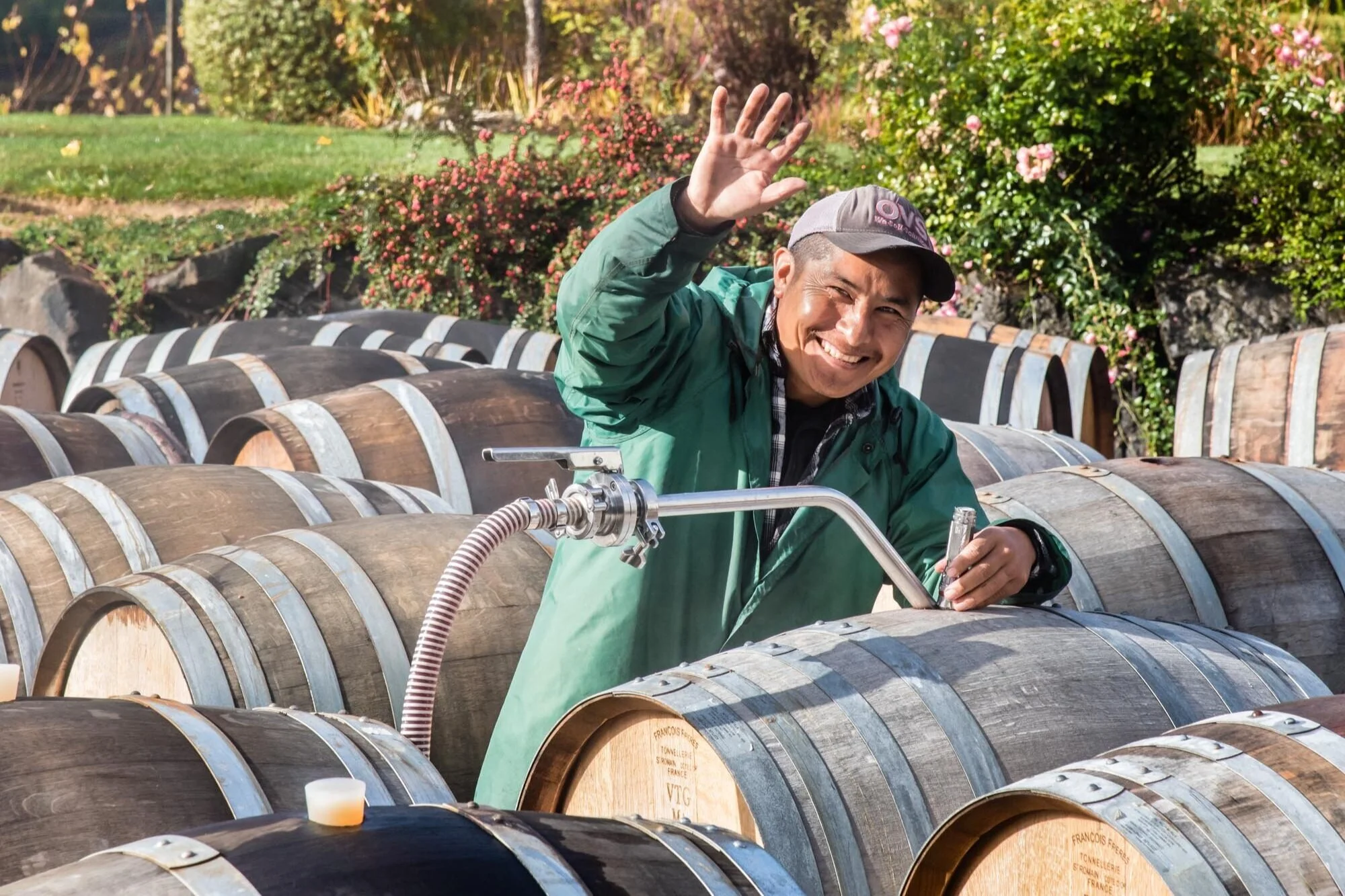 ayres-vineyard-eddie-wave-300-07.jpg