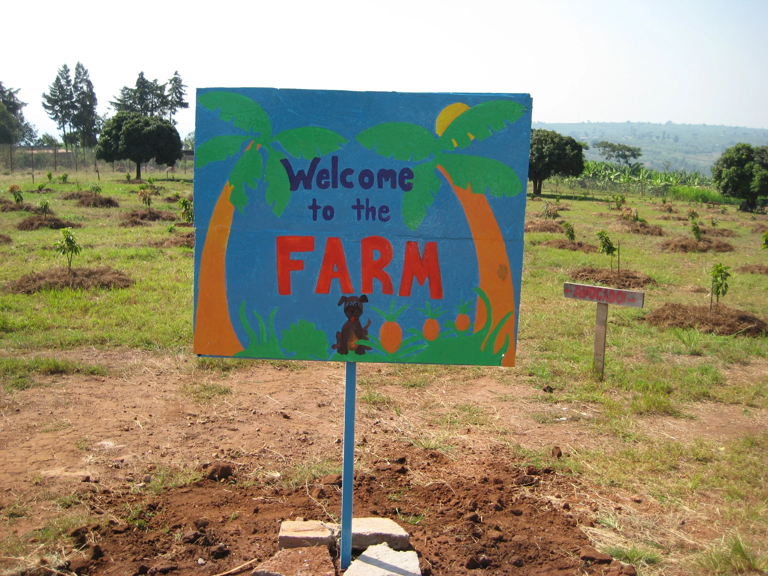 Farm to Table at ASYV