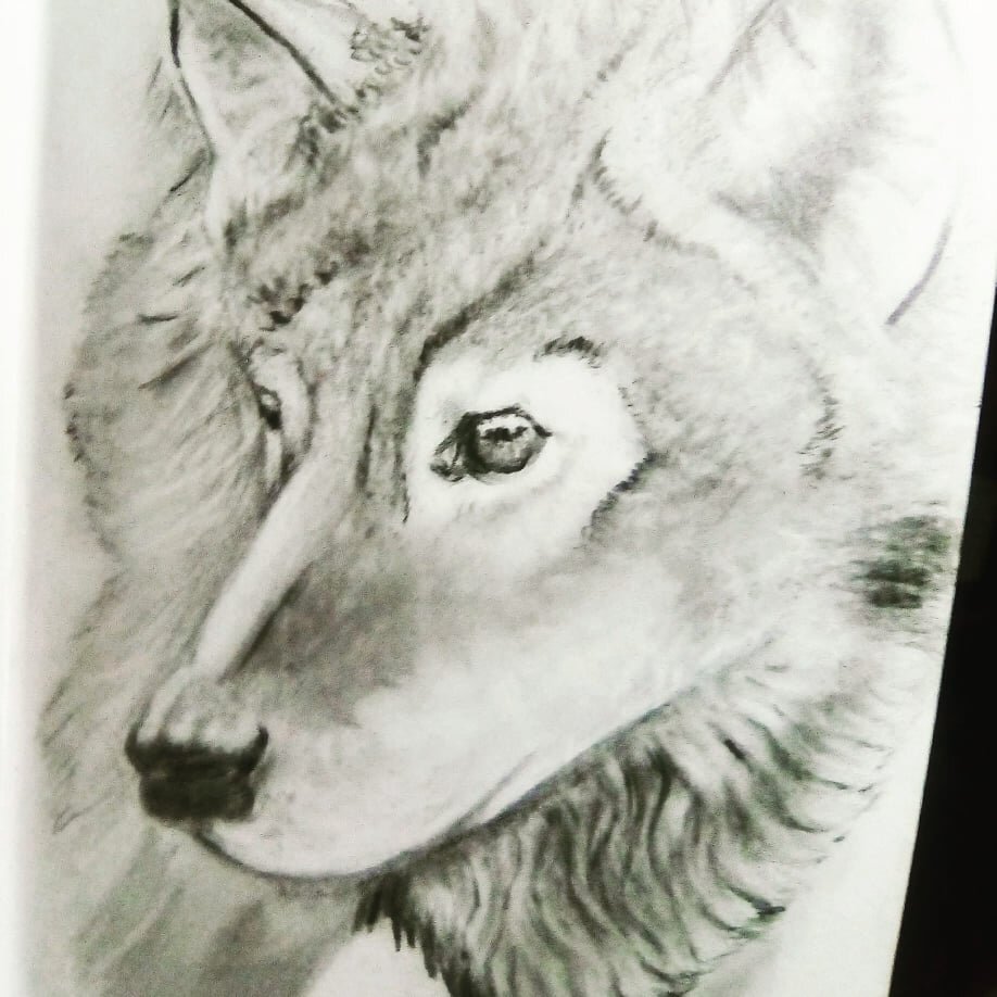 The Alpha Wolf