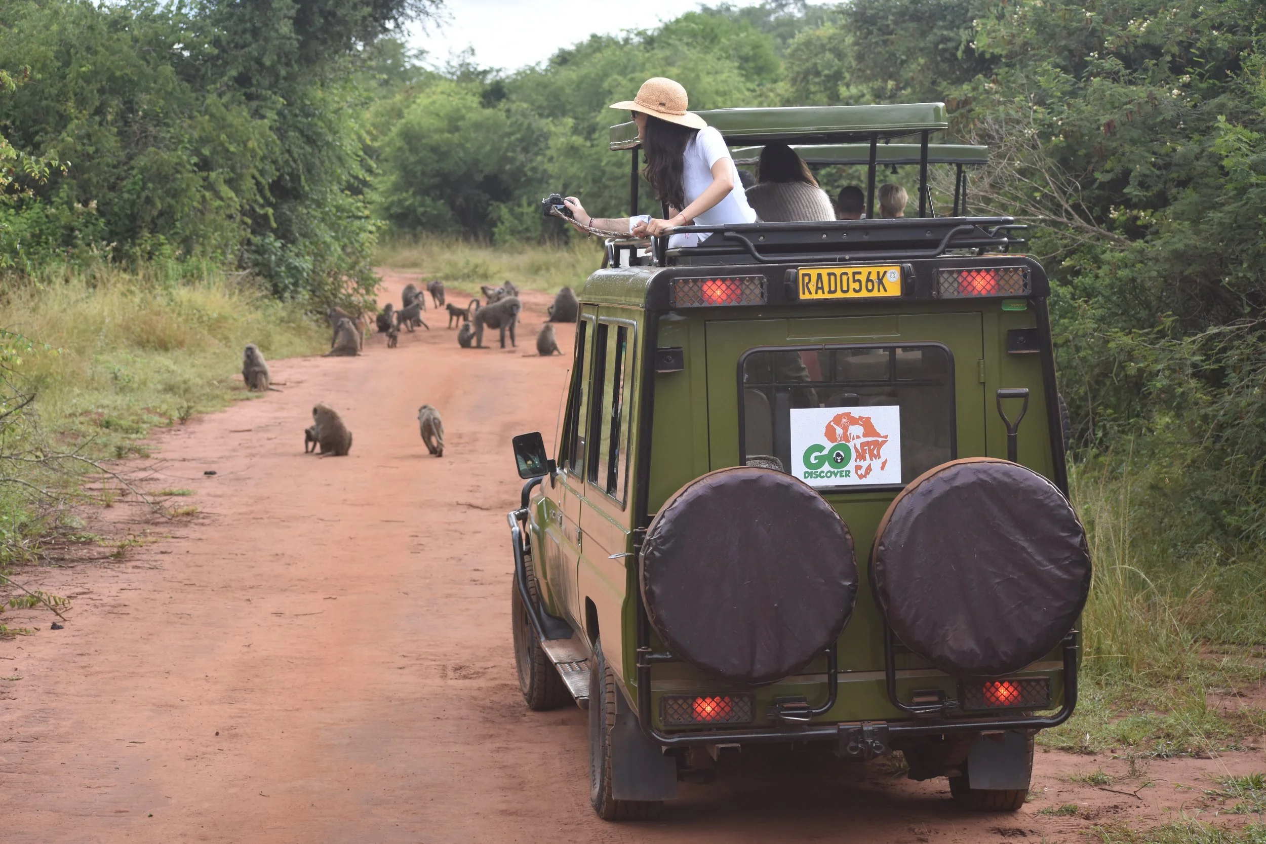 Tour Company Contact Information