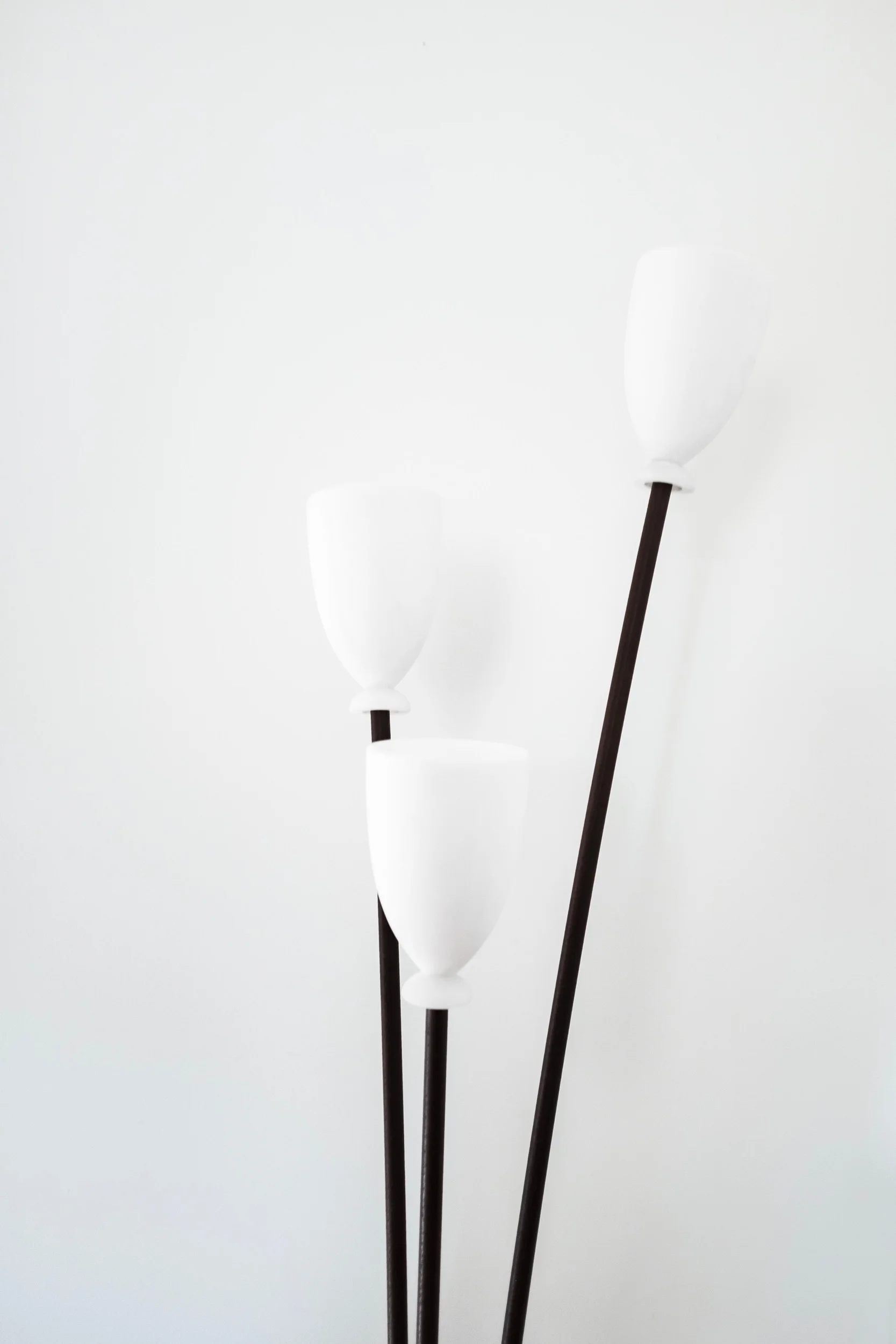 Close-up of tulip glass floor lamp