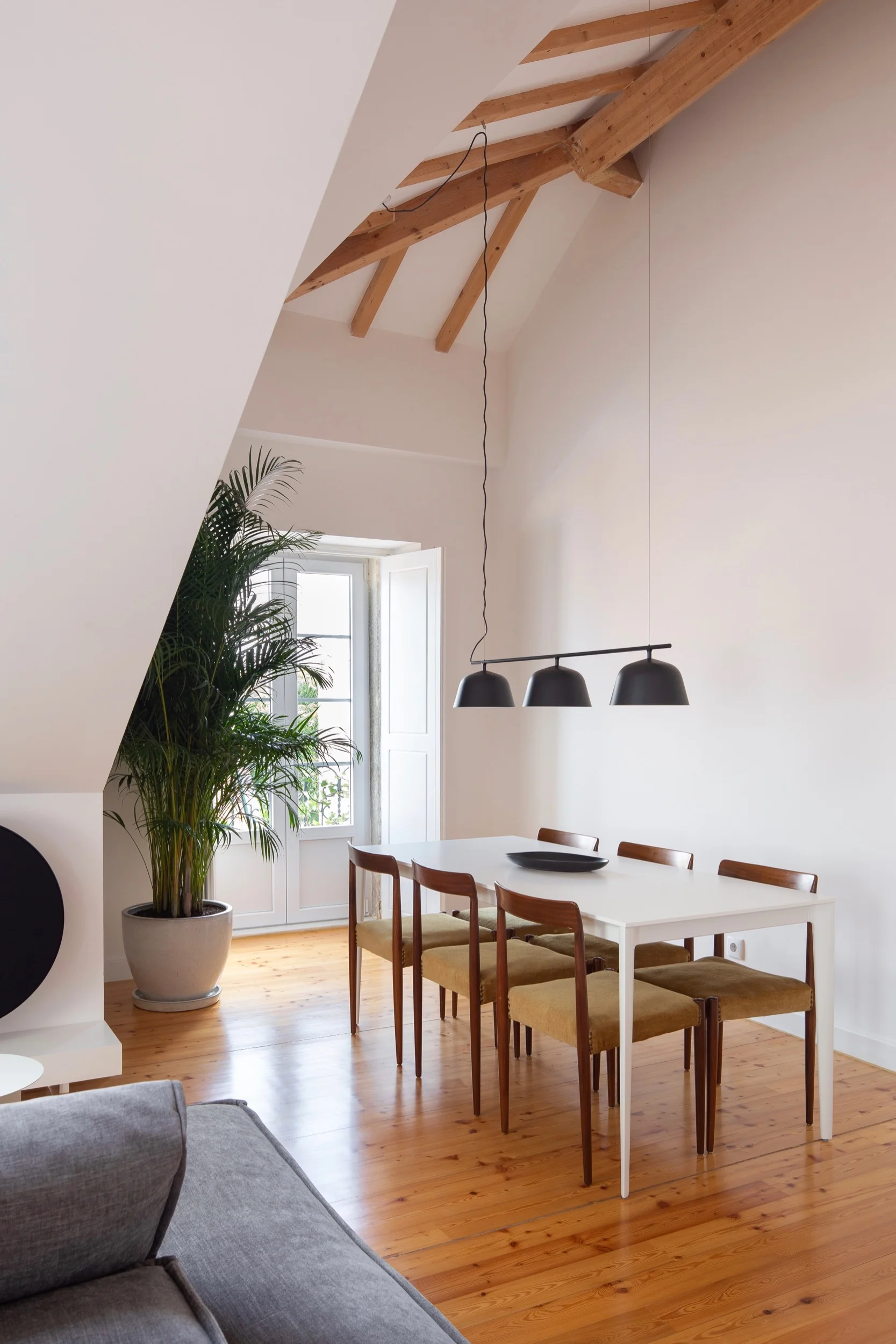 Photo of Lola Cwikowski Studio Travessa da Pereira Apartment residential project showing BoConcept table, Muuto Ambit Rail lamp, vintage dining chairs, B&O Beoplay A9 speaker, and large palm plant