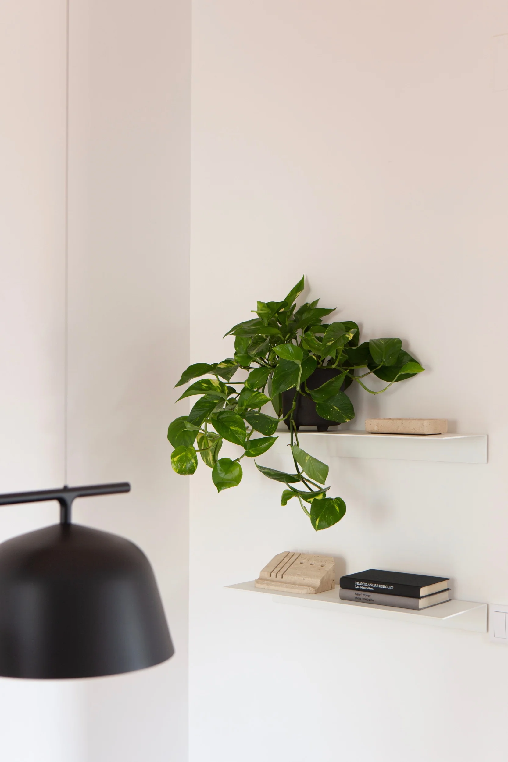 Detail photo of Lola Cwikowski Studio Travessa da Pereira Apartment residential project showing Muuto Ambit Rail lamp, BoConcept Como shelves, and plant.