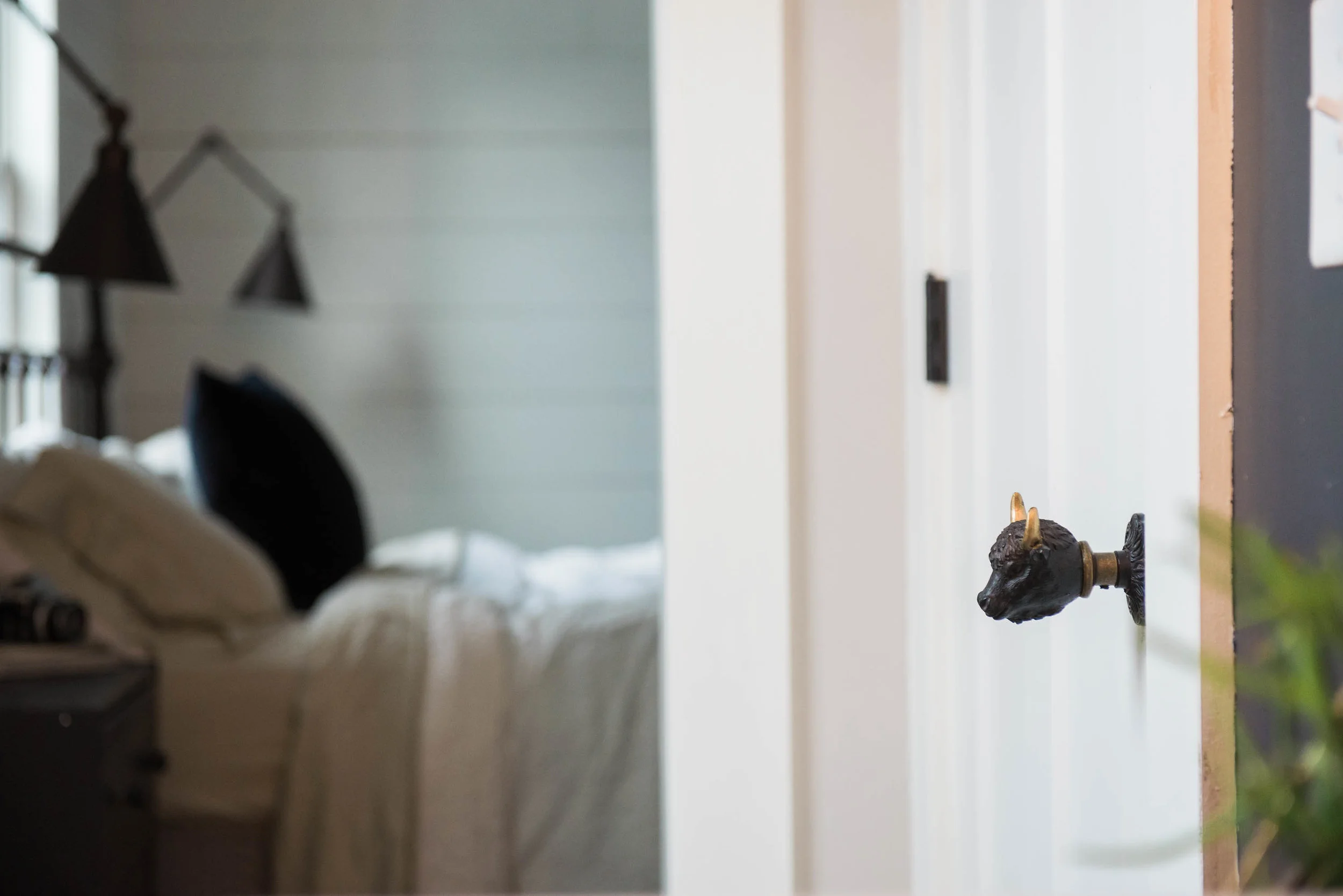 home-details-buffalo.jpg