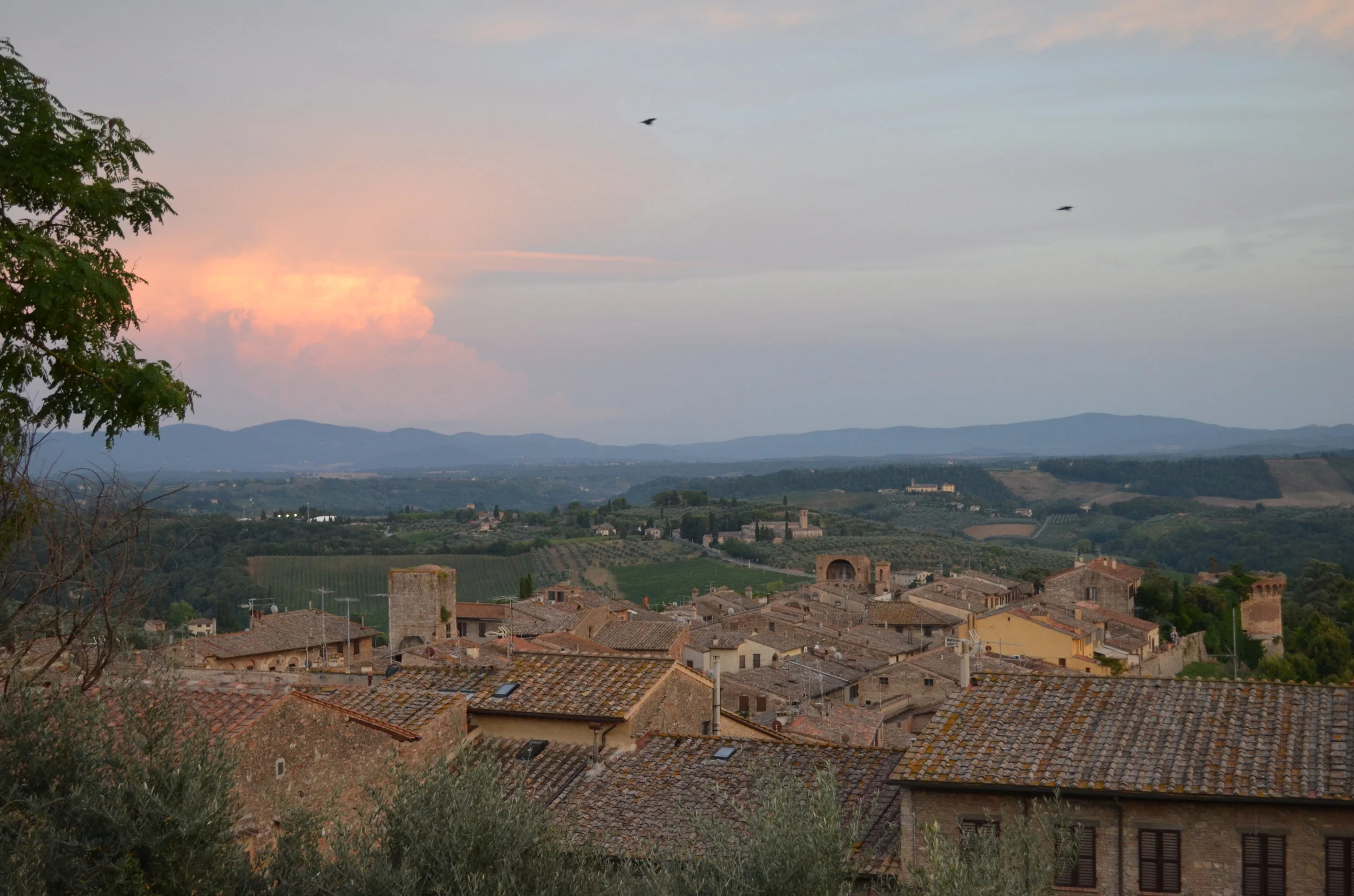 DSC_0116.jpg