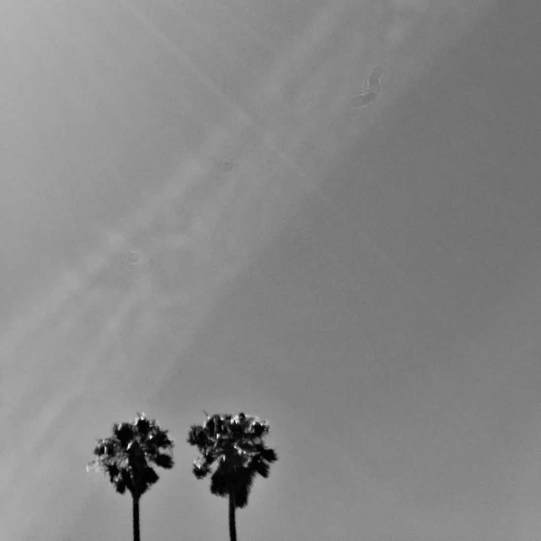 I took 3 photos when we were in San Jose for Colin's interview, and this is one of them--I love it!