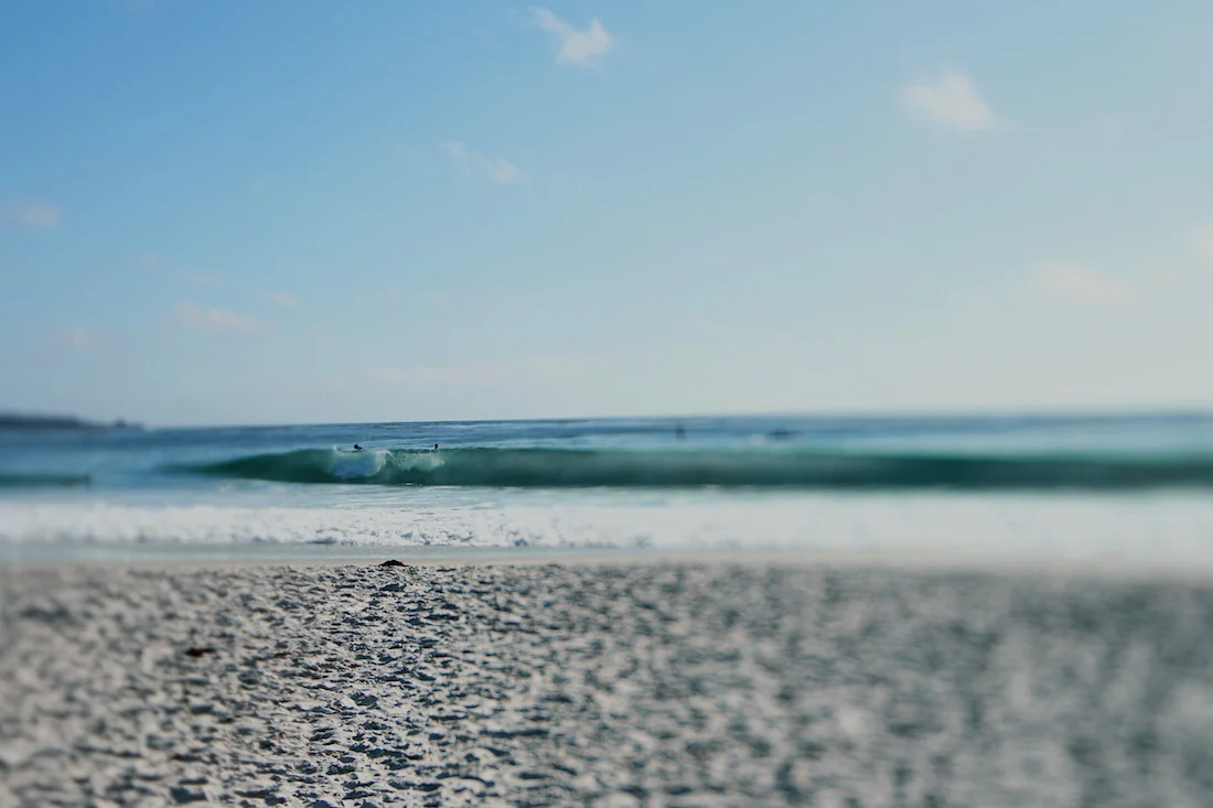 IMG_0155 copy.jpg