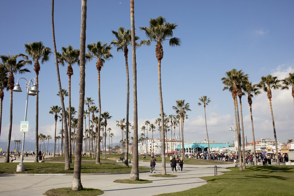 Venice-Beach-8987.jpg