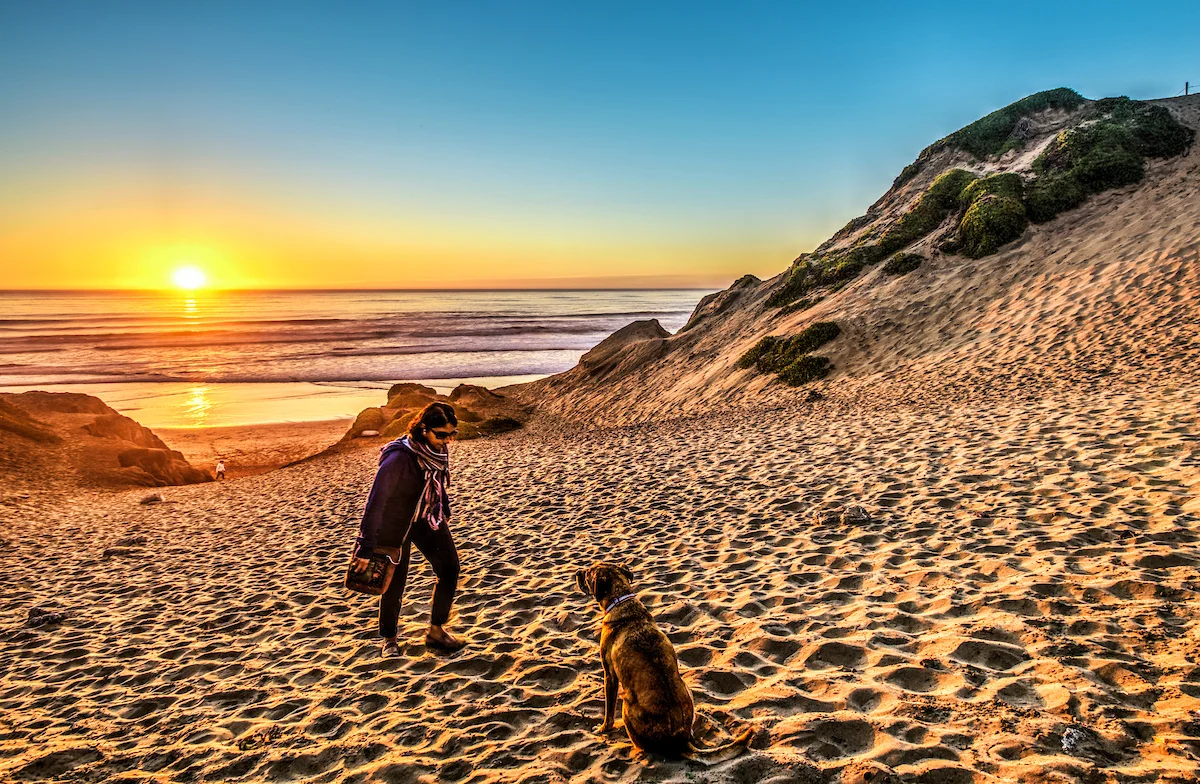 FORT FUNSTON With dramatic bluffs overlooking the ocean, this is the go-to spot for hikers, equestrians, hang gliders, and their dogs.