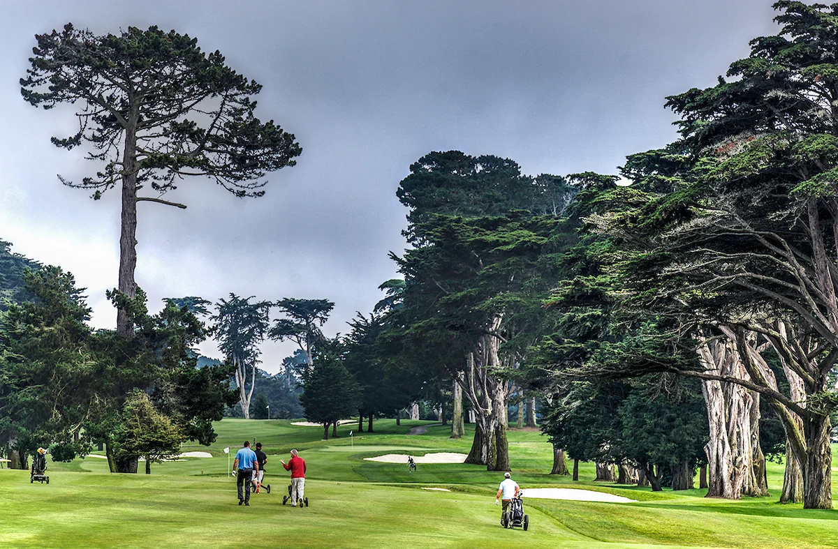 TPC HARDING PARK Surrounded by Lake Merced on three sides, this stunning municipal golf course is part of the PGA Tour network.