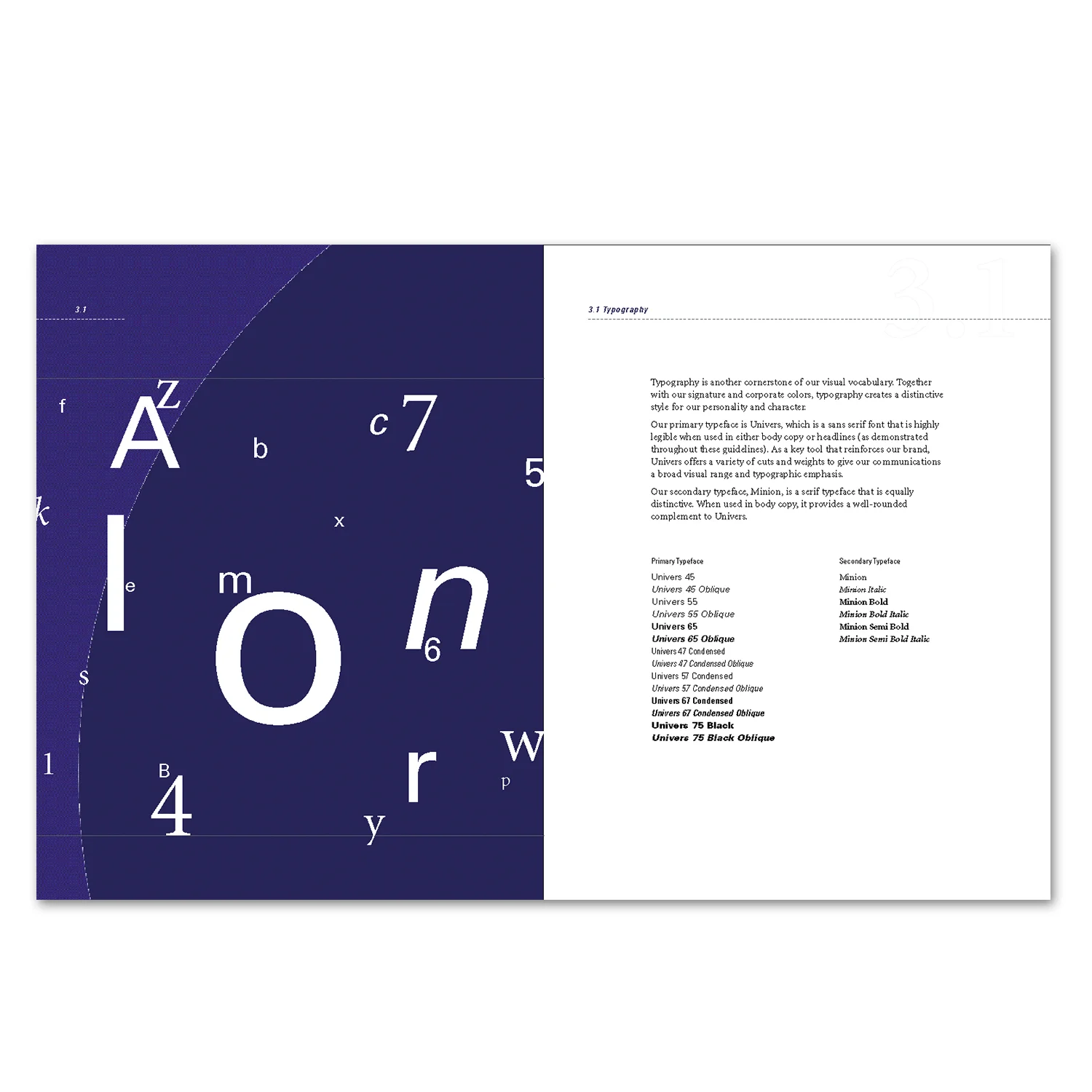 Ion_Visual_Guidelines_P5.jpg