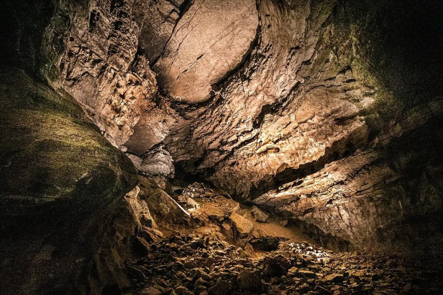 The textures at Mammoth Cave in Kentucky will never not be breathtaking to me