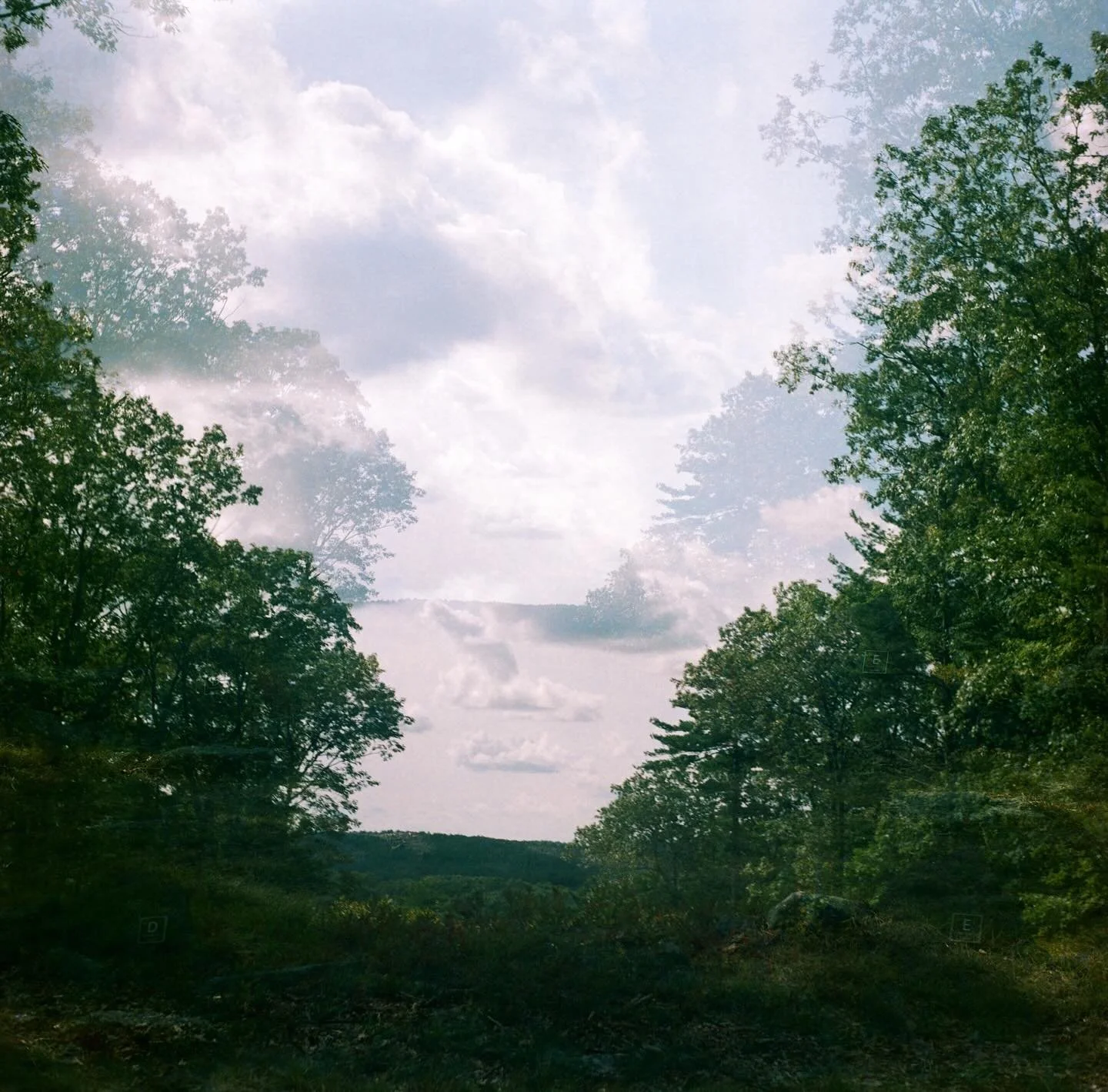 Some medium format shots from my time at @americasstonehenge this past September