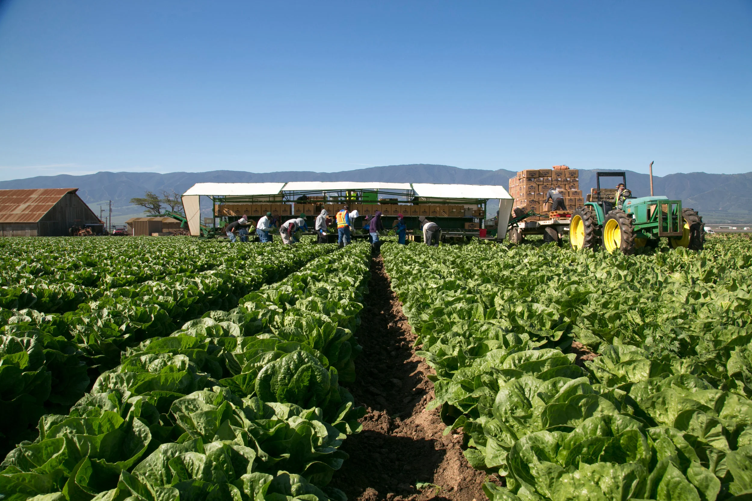 Our Growing Regions — Pacific International Marketing