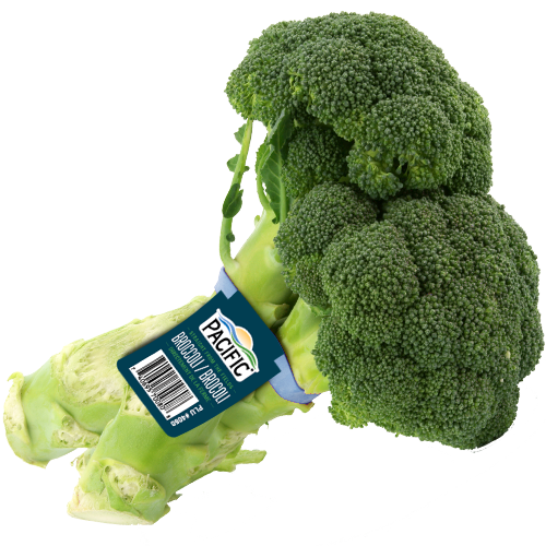 Pacific bunched broccoli.png