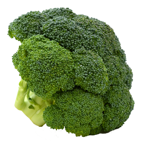 broccoli crowns.png