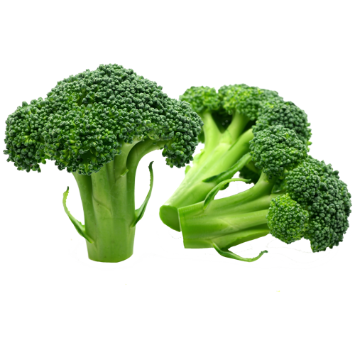 Broccoli Florets loose.png
