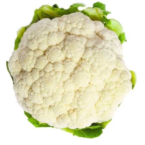 Pacific Cauliflower naked.png