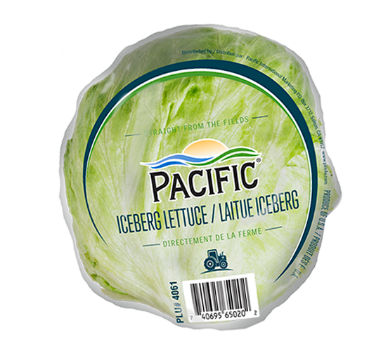 Pacific Iceberg.png