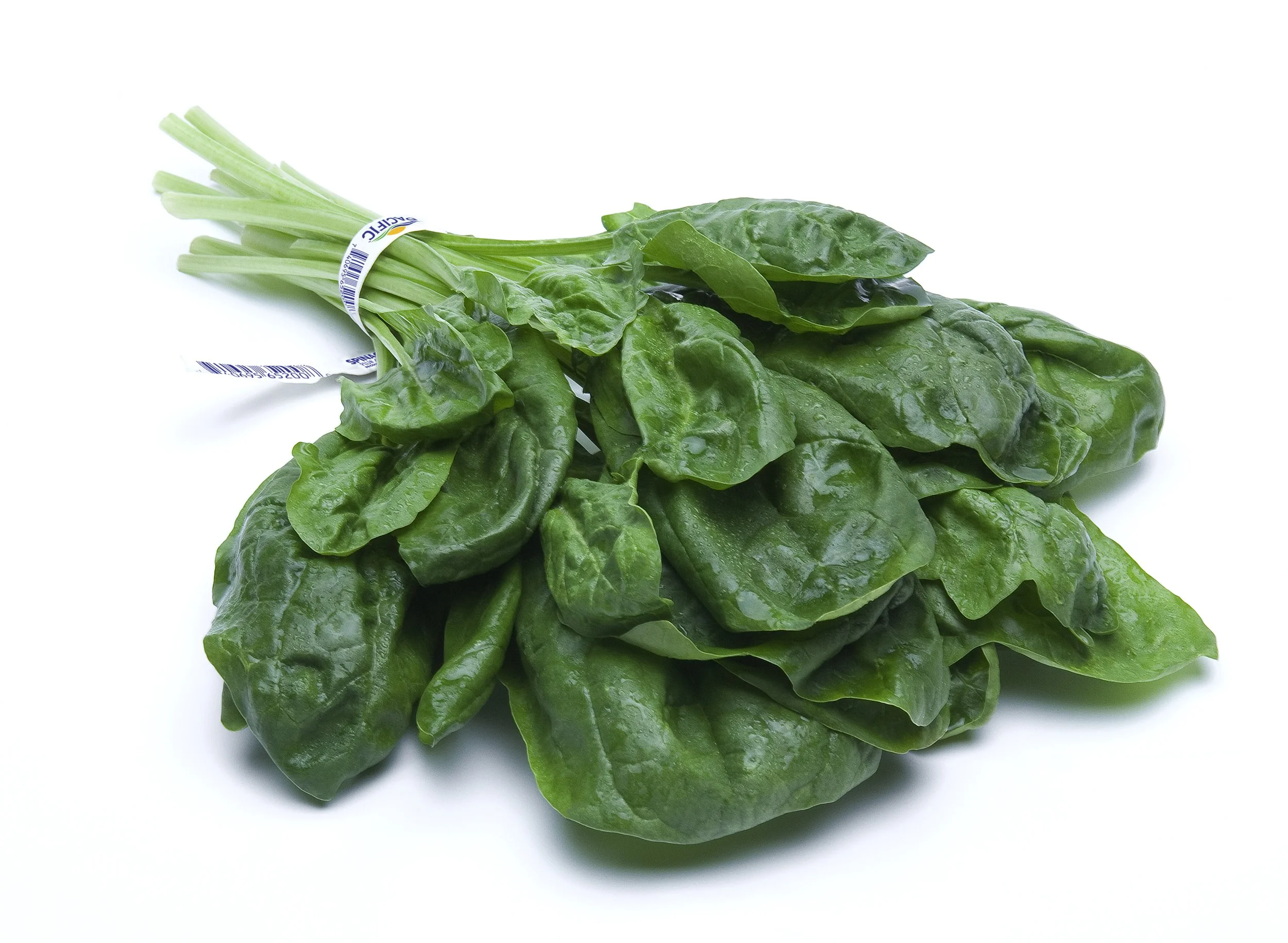 Pacific_Spinach_twisttie.jpg
