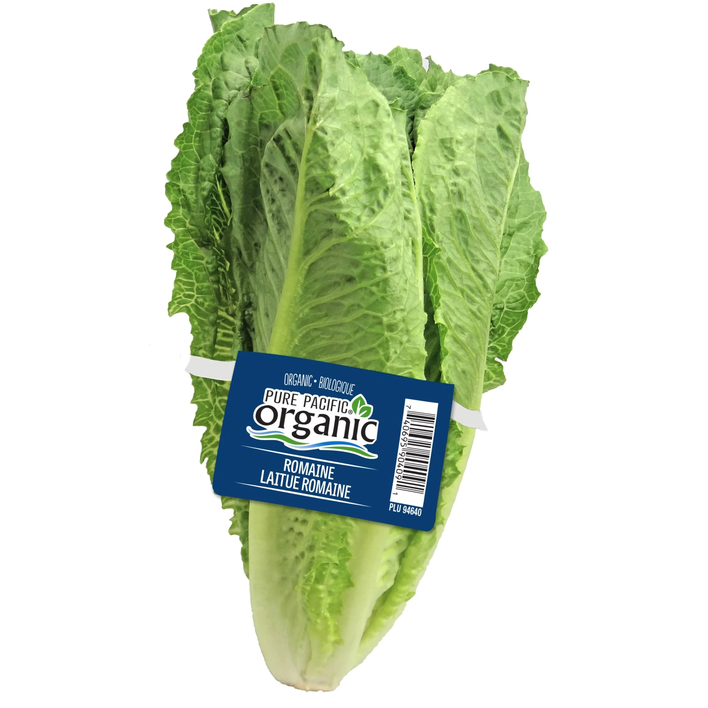 Pure+Pacific+Romaine+tag.jpg