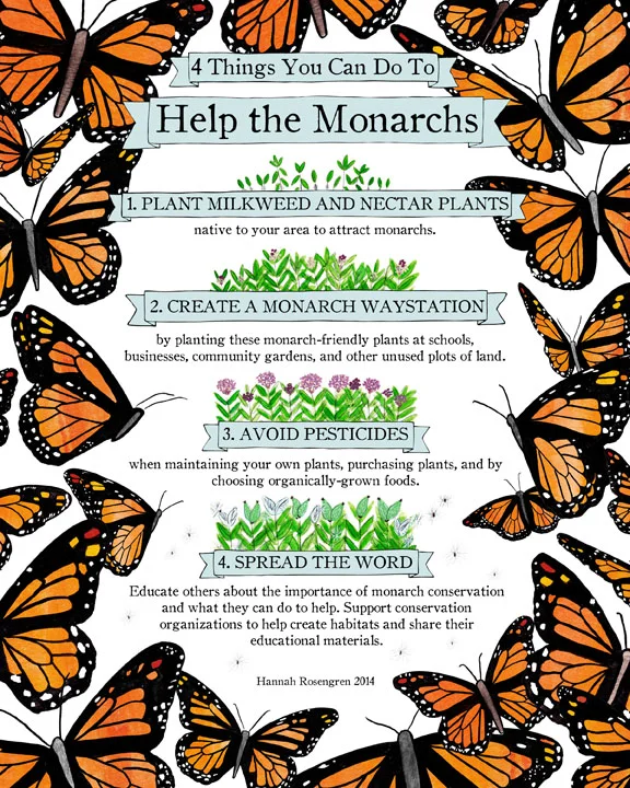 Help the Monarchs 8x10 72 res WEBBB.jpg