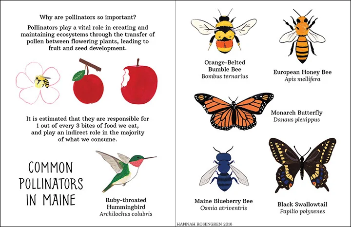 pollinate zine spread web 1_BORDER.jpg