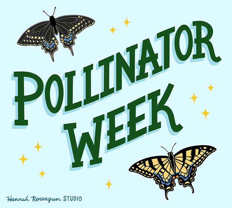 Pollinator Week Lettering 2019_WEB RES 72_BLOG.png