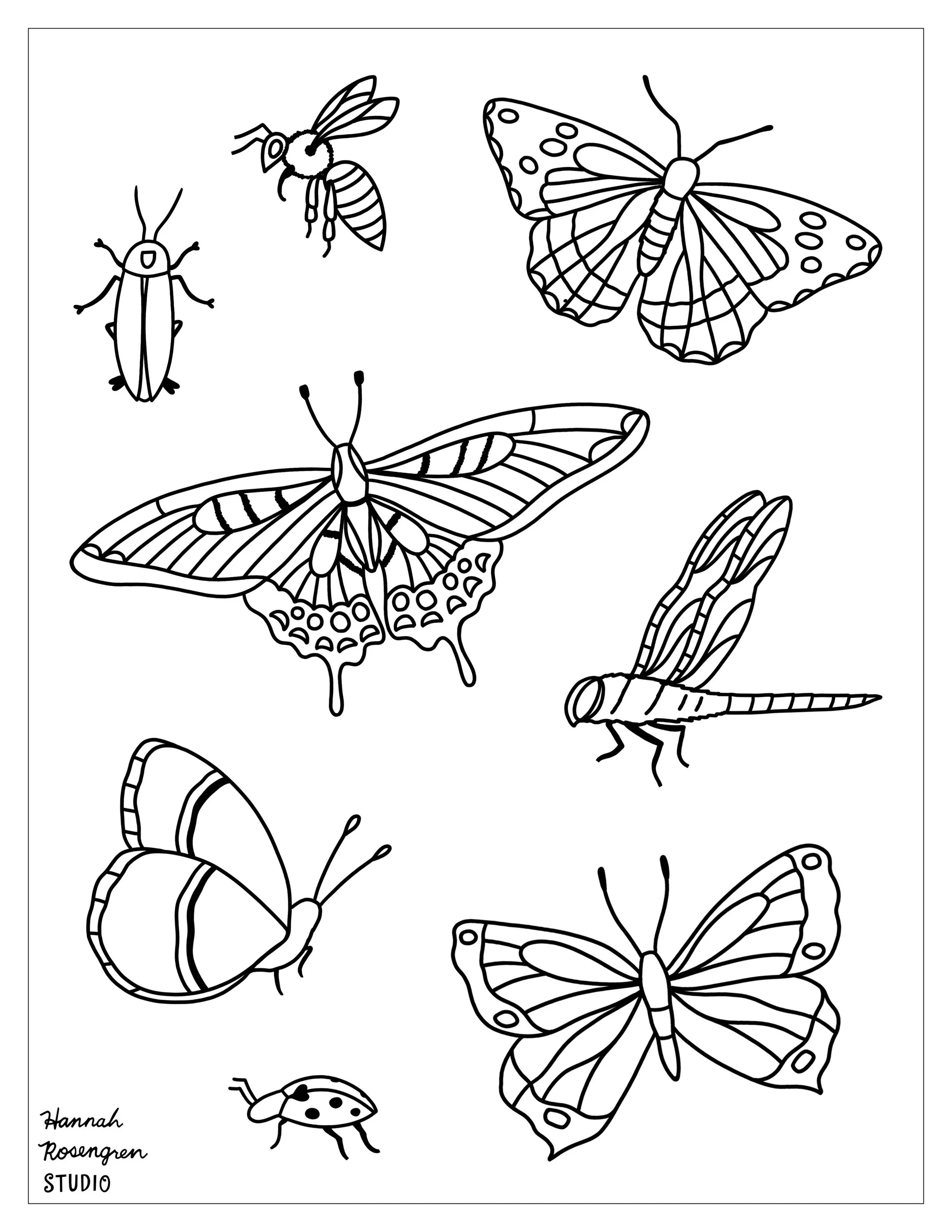Ant Colouring Sheet