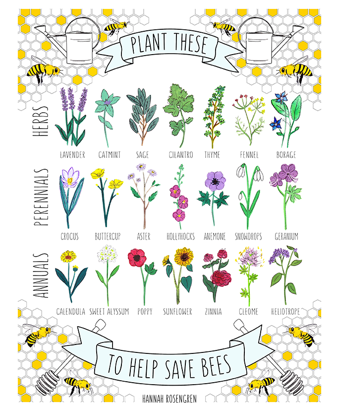 Plant These to Help Save Bees 11x14" Print *or* 16x20" Poster  Hannah  Rosengren