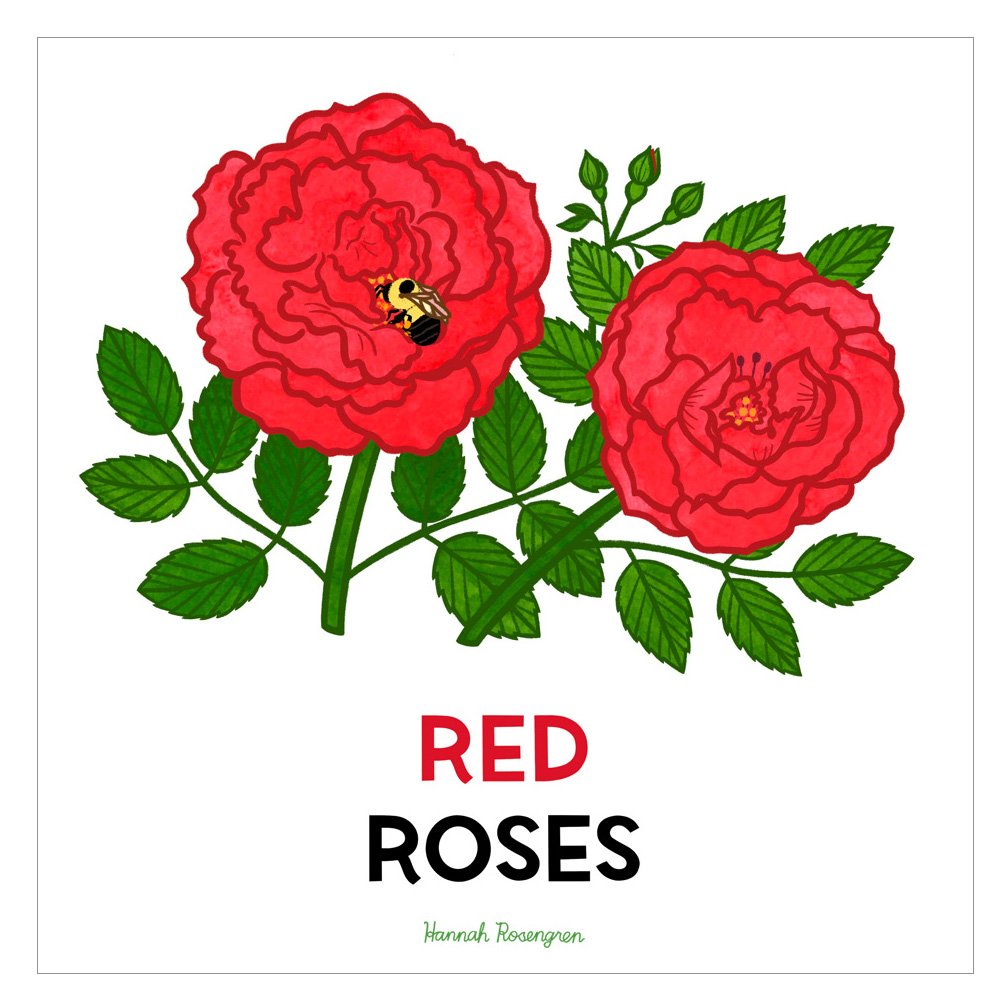 shop_Bee Book Roses_WEB RES 72.jpg