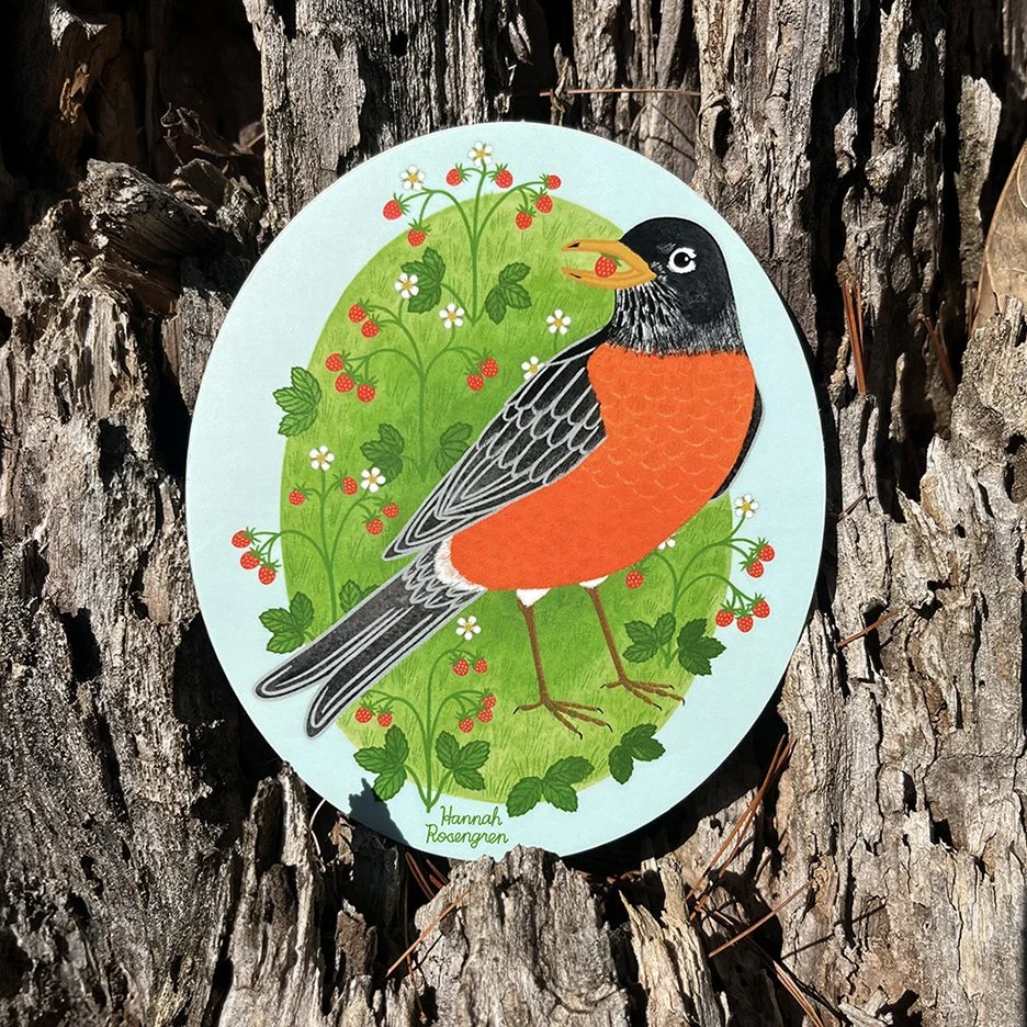 Robin Sticker Photo_WEB RES 72.jpg