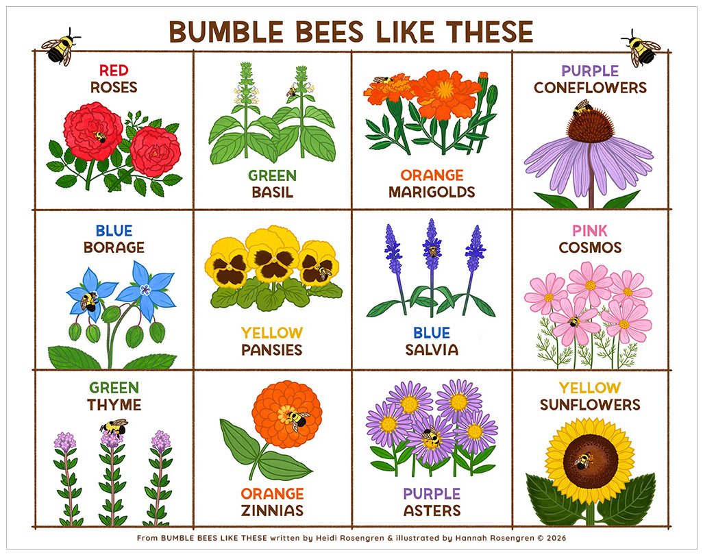 Bee Book 11x14_WEB RES 72 with border.jpg