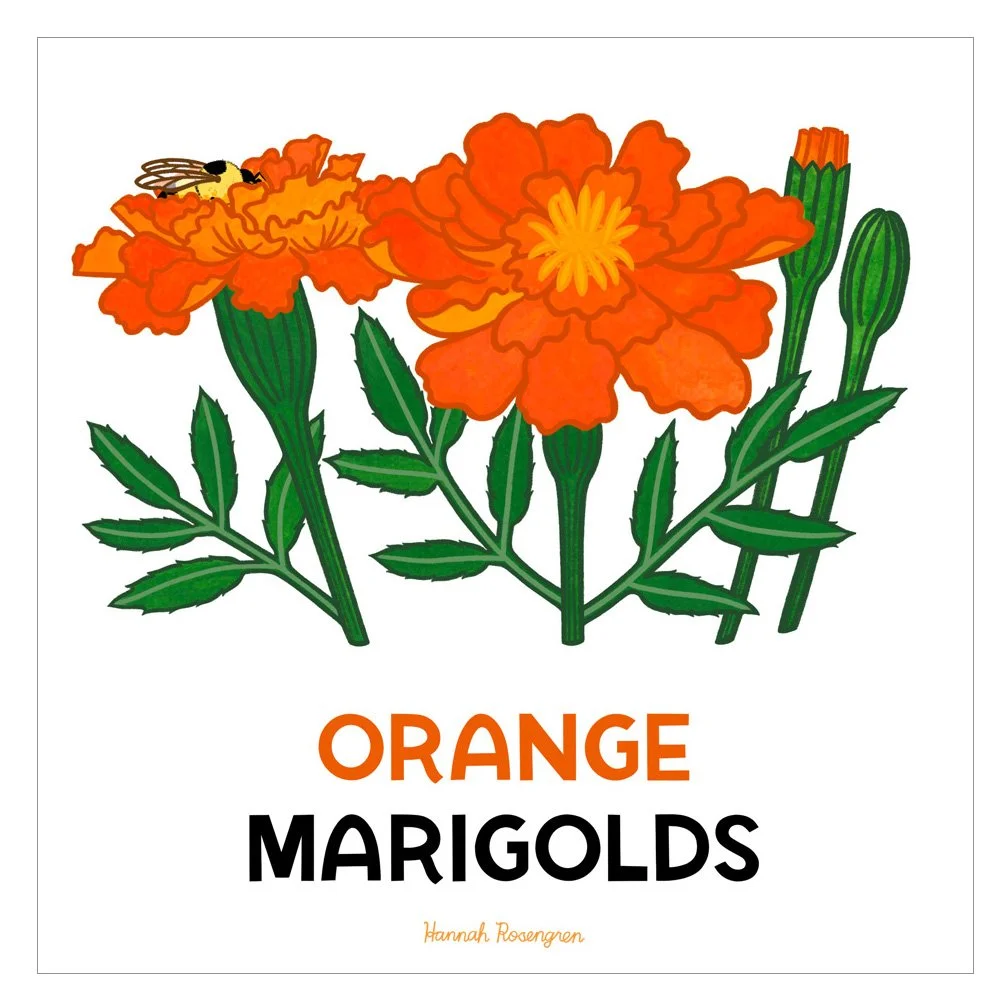 shop_Bee Book Marigolds_WEB RES 72.jpg