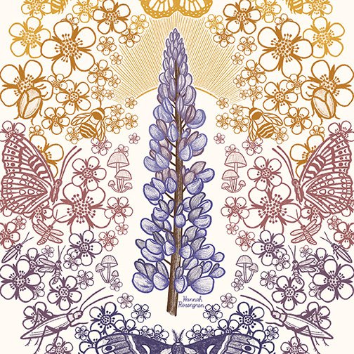 Summer Solstice WEB RES sq crop 6x6.jpg