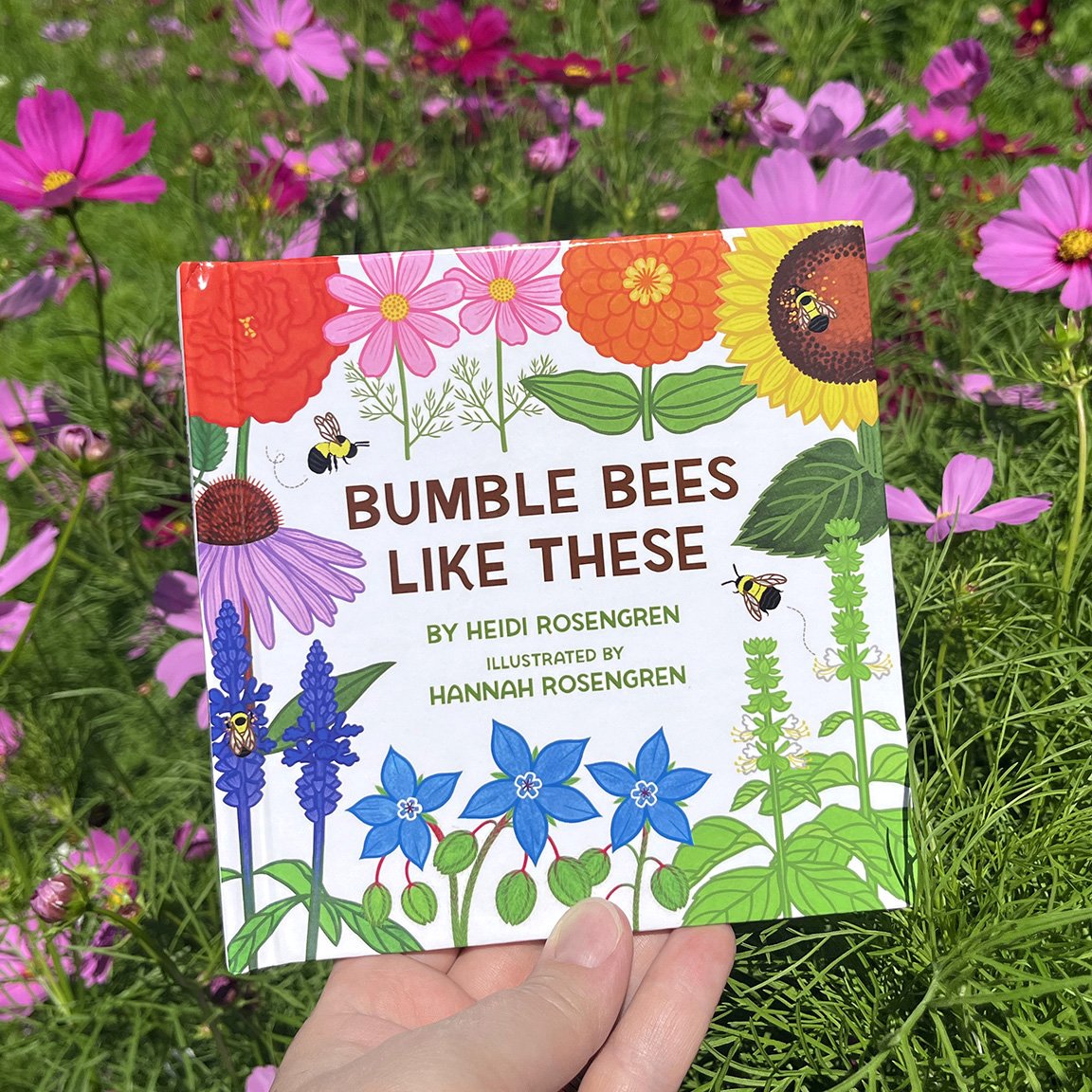Bee Book Cosmos PHOTO_WEB RES 72.jpg
