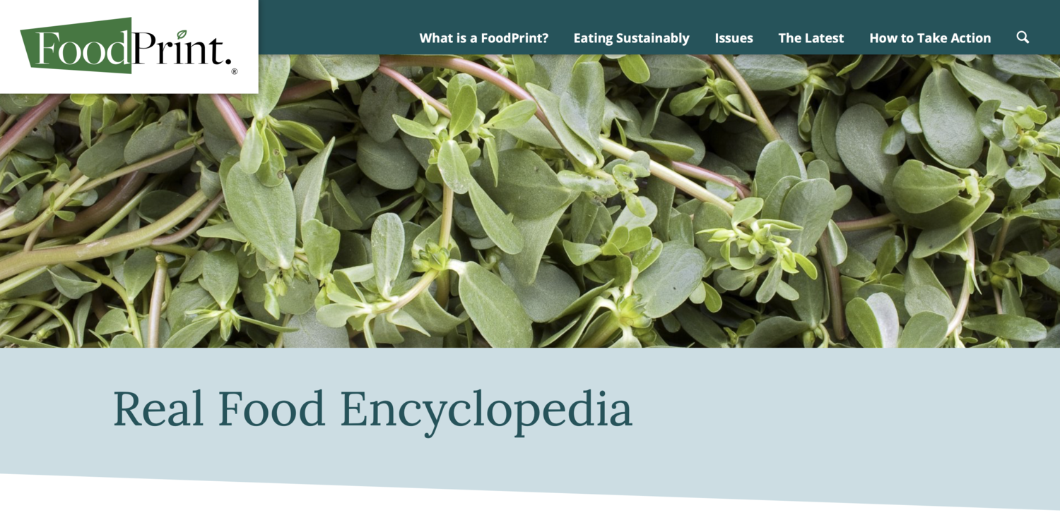 Real+Food+Encyclopedia.png