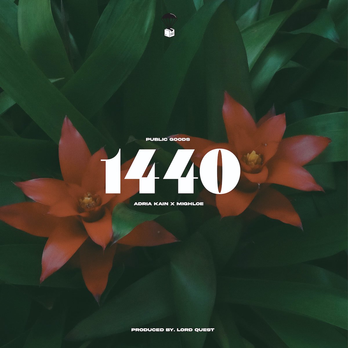 1440 by Public Goods, Adria Kane, Mighloe