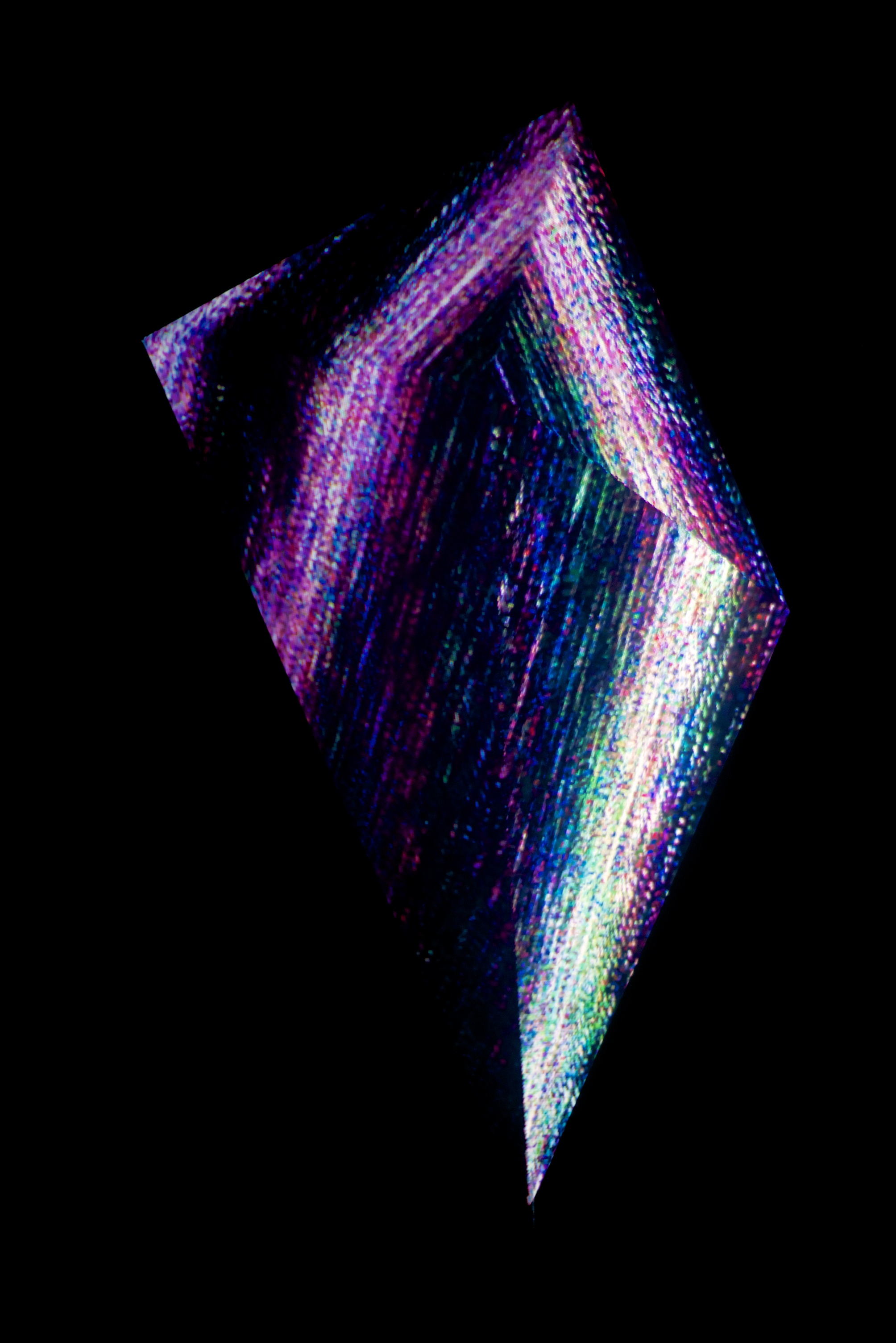 DSC_1345.jpg
