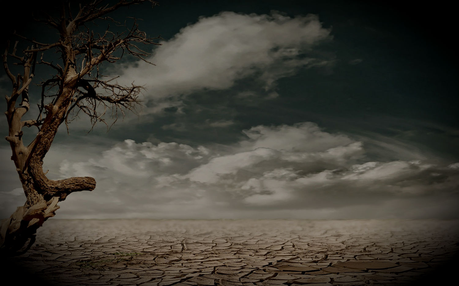 desert-background-sm.jpg