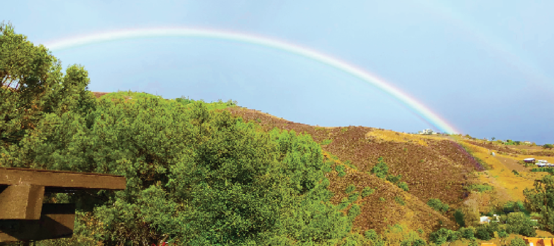 Screen Shot 2018-09-26 at 4.31.46 AM.png