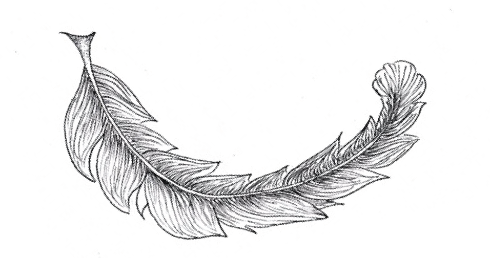 Screen Shot 2018-09-01 at 1.24.47 PM.png