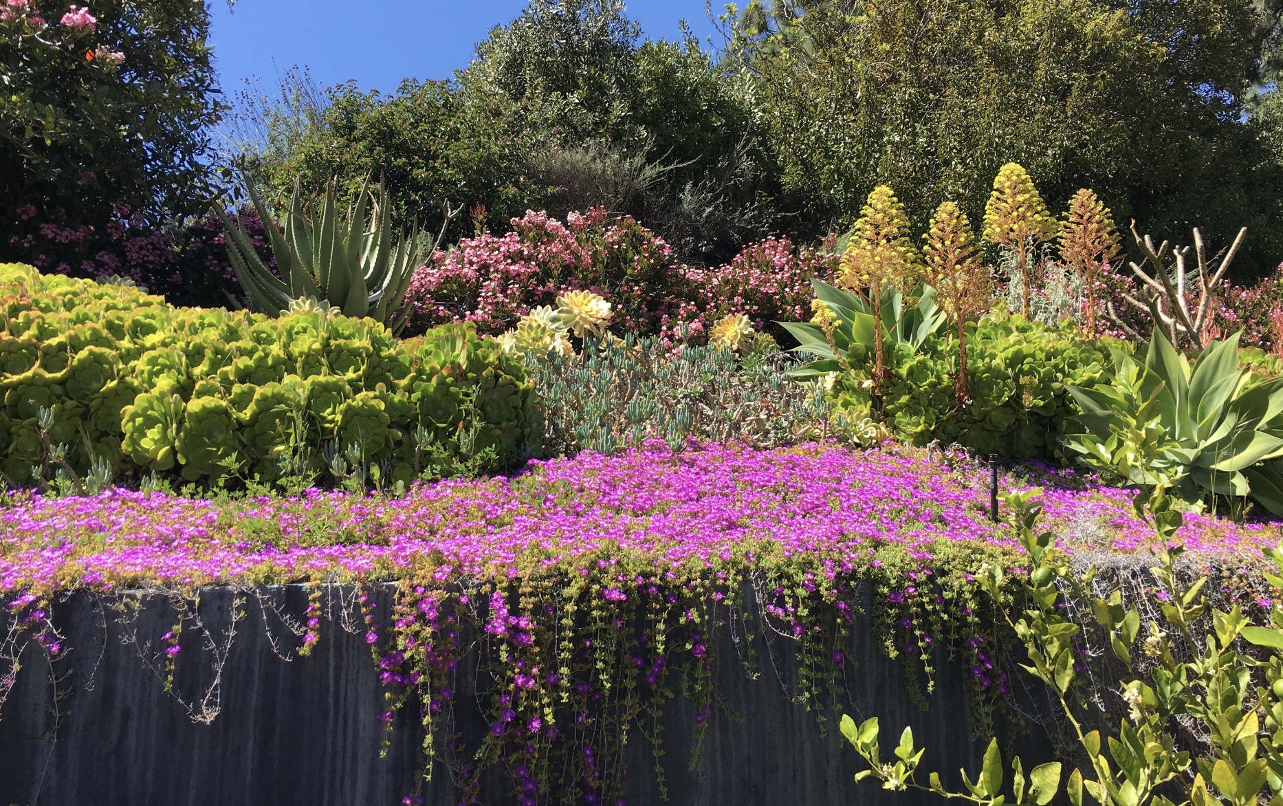 Screen Shot 2022-10-03 at 4.07.42 PM.png