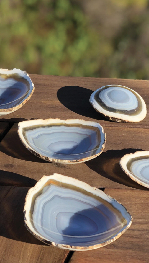 Screen Shot 2022-10-05 at 5.19.07 PM.png