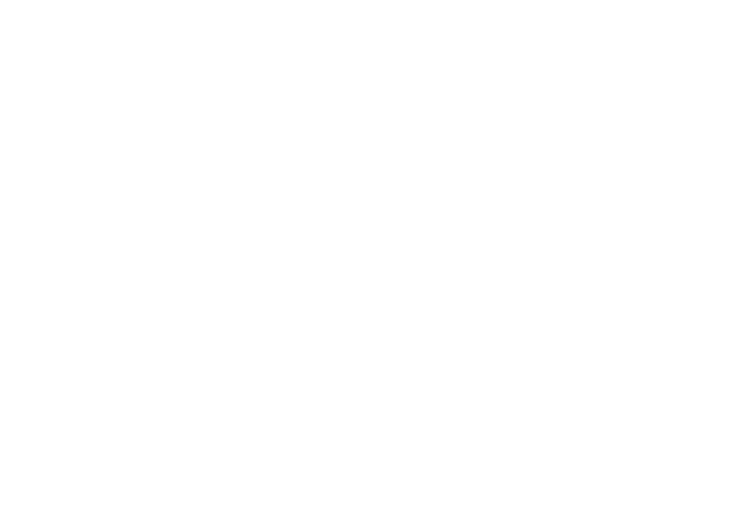 Calle_Libre_Logo+JPEG+(Big).png