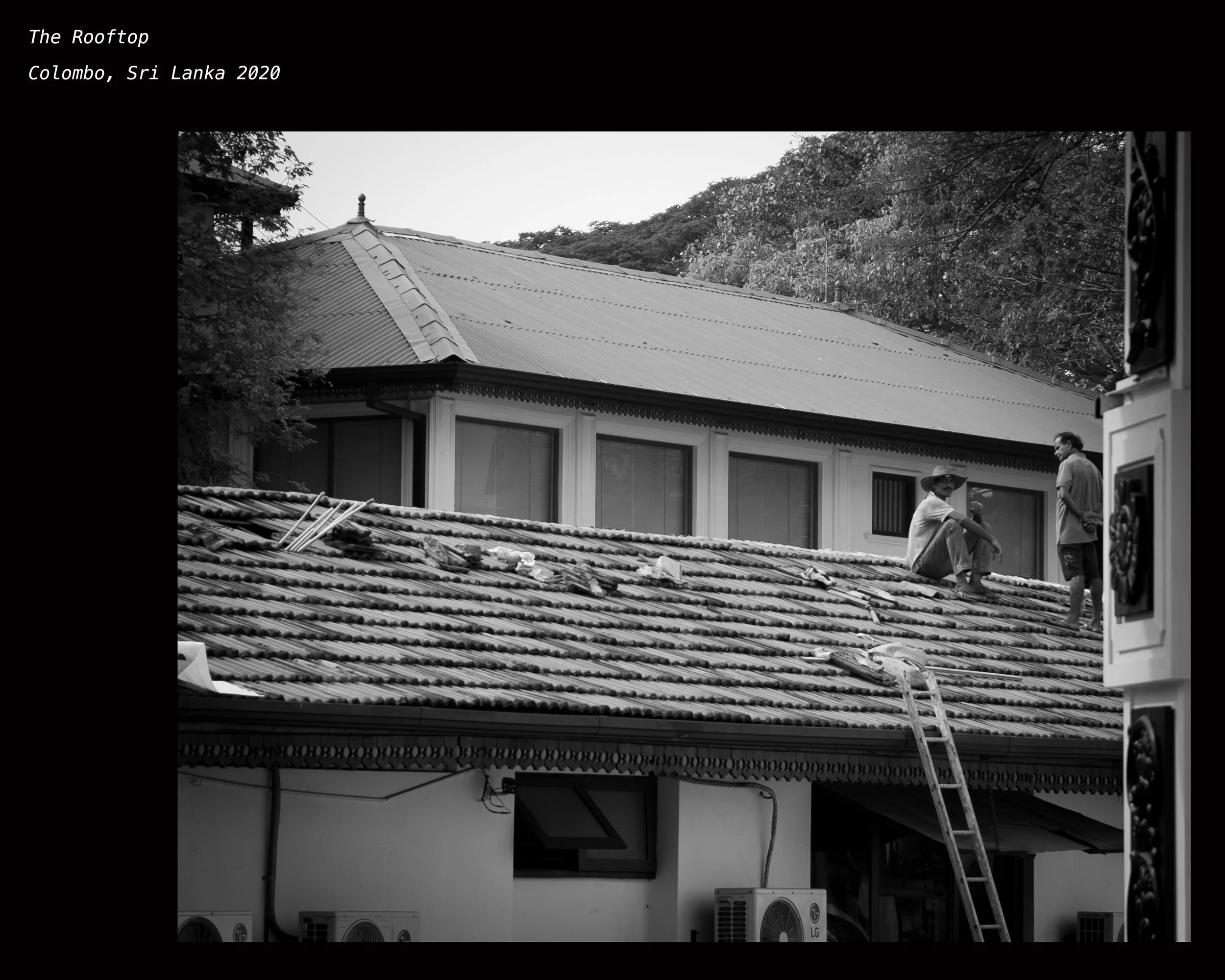 rooftop.jpg