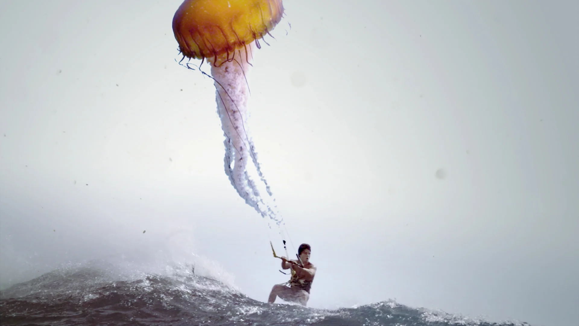 JellySurfer_WebBackground.jpg